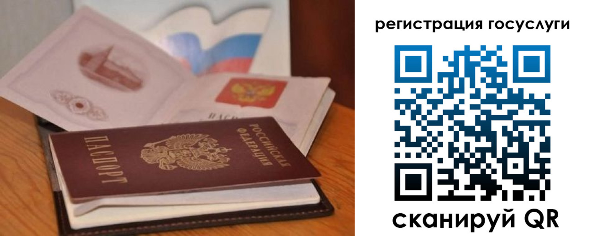 прописка законно в Тихорецке